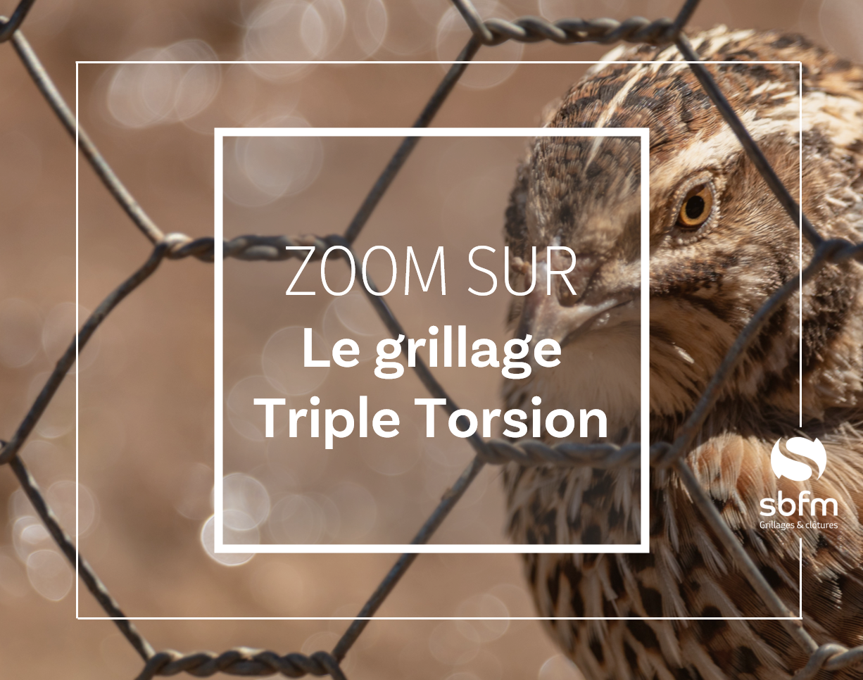 Image new [ZOOM sur le Grillage Triple Torsion renforcé]