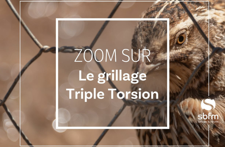 Illustration [ZOOM sur le Grillage Triple Torsion renforcé]