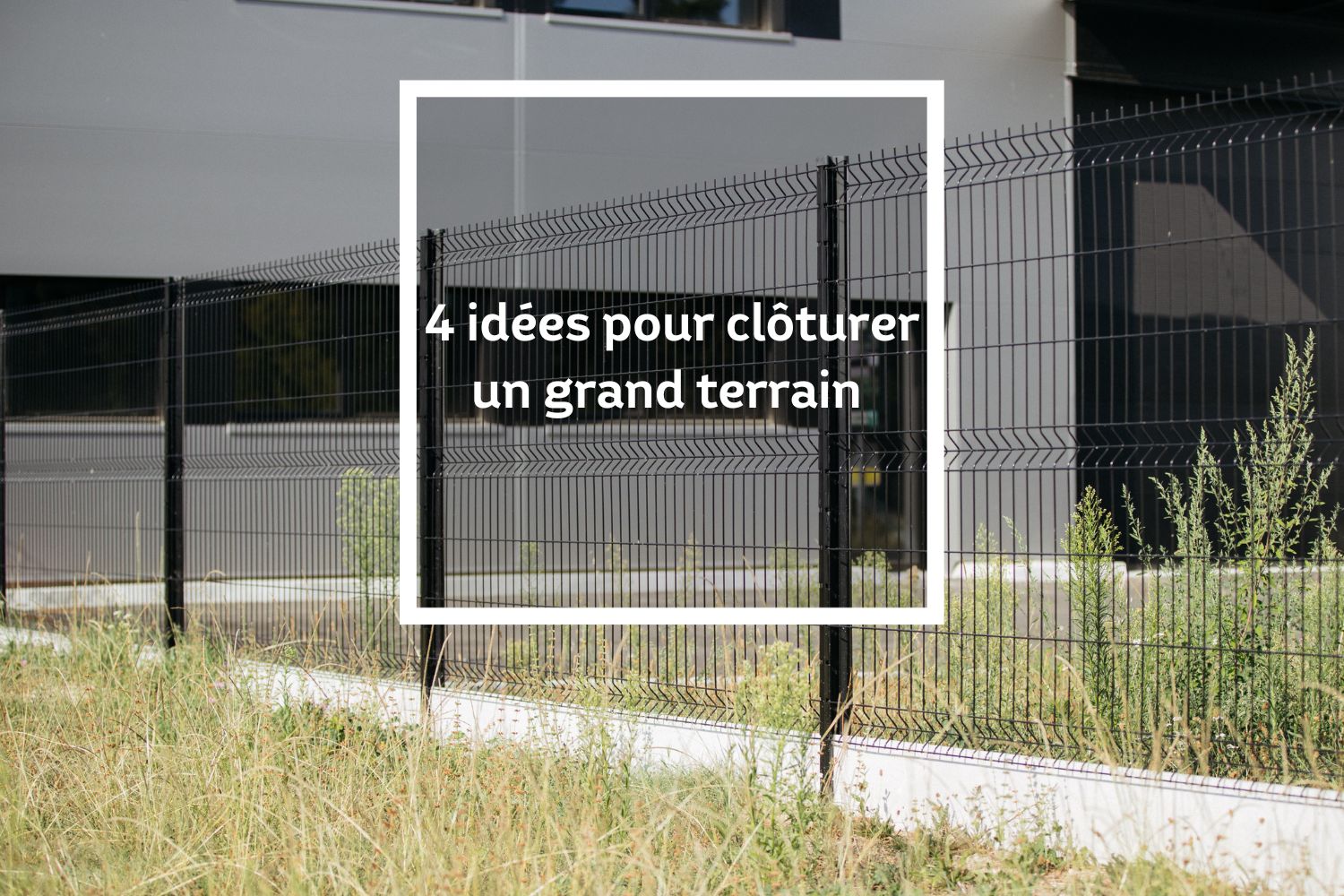 Illustration 4 idées pour clôturer un grand terrain