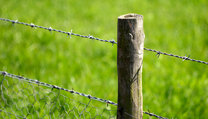 Image new Tout savoir sur la clôture agricole : normes, usages et conseils d'experts