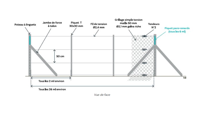 Image new Le grillage avicole, la solution innovante conçue pour votre élevage 