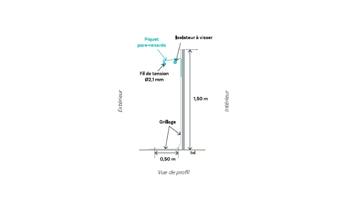 Image new Le grillage avicole, la solution innovante conçue pour votre élevage 